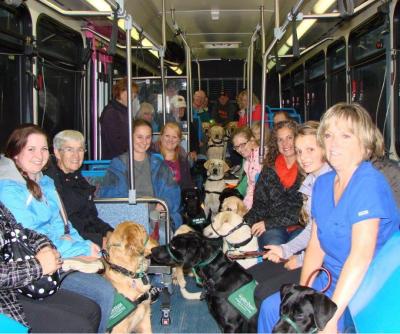 Guide Dogs on SMART